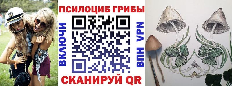 наркота  Собинка  Галлюциногенные грибы Psilocybe 