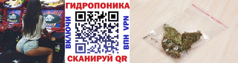 Марихуана SATIVA & INDICA  купить   блэк спрут tor  Собинка 